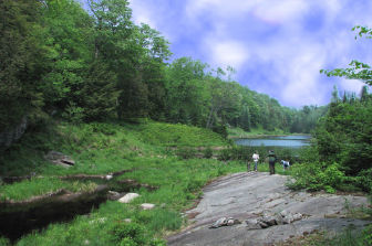 greenveil-ca002005.jpg