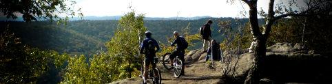greenveil-ca004002.jpg